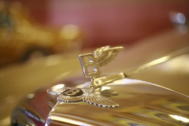 Casino Bet Winner Application Android/iOS